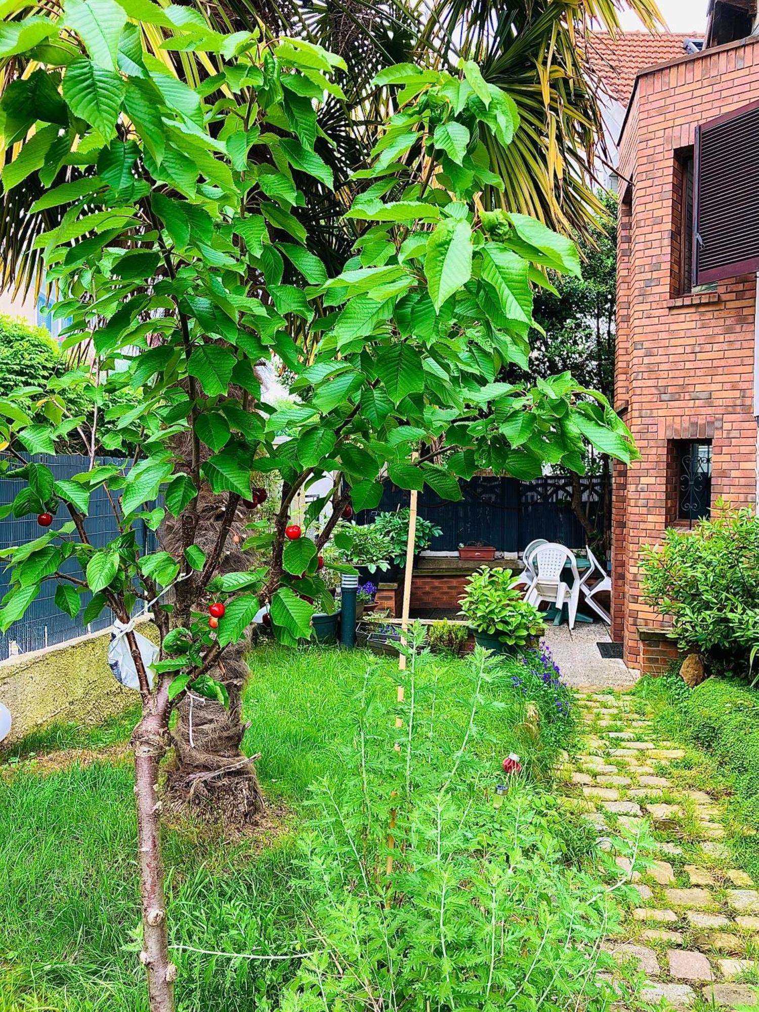 Bed and Breakfast Le Jardin Paris Ivry-sur-Seine Esterno foto